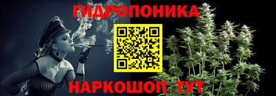 гашик Ирбит