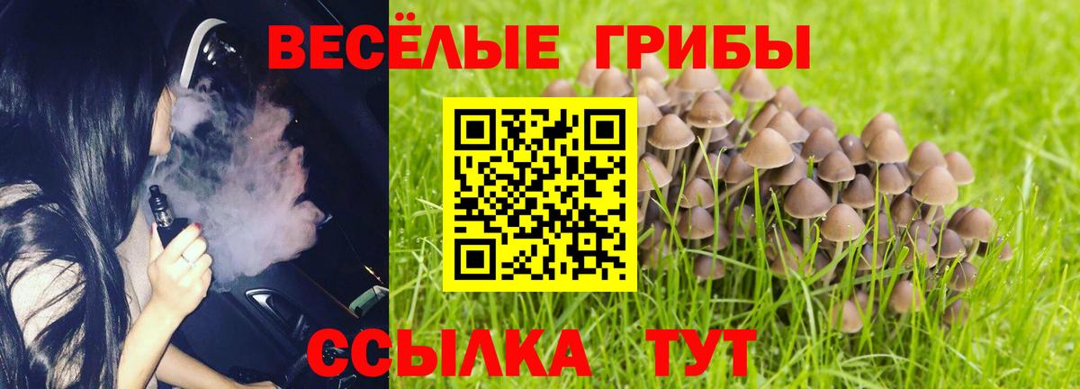 Галлюциногенные грибы Psilocybe  Псилоцибиновые грибы ЛСД  Вход с VPN  Кызыл 