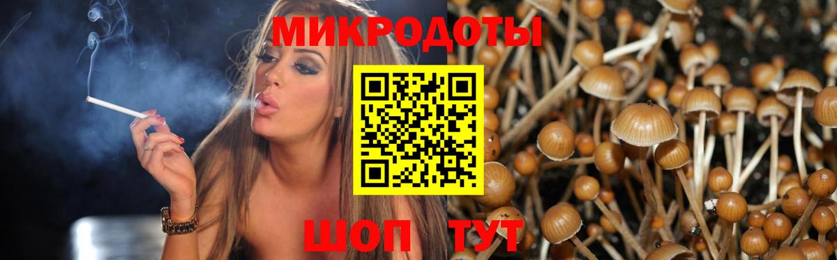 Псилоцибиновые грибы мухоморы Кызыл